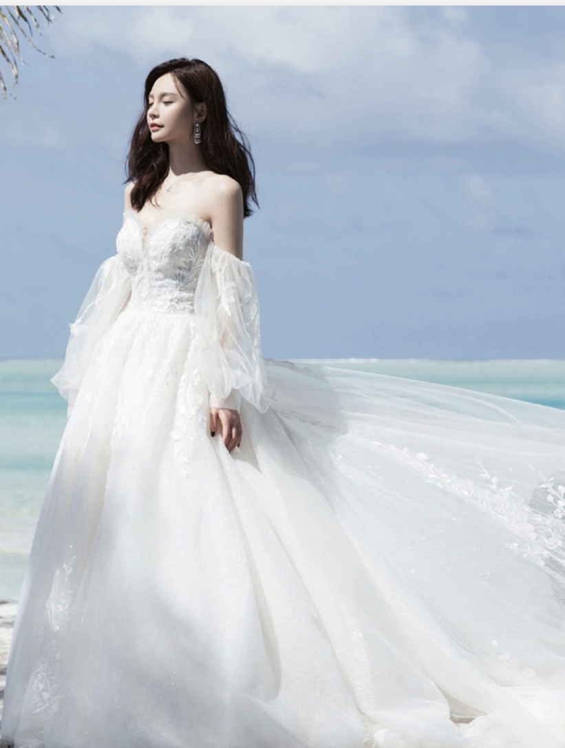 Hand Made Custom Dress ,long Sleeve Bridal Dress,elegant Light Wedding Dress,custom Made